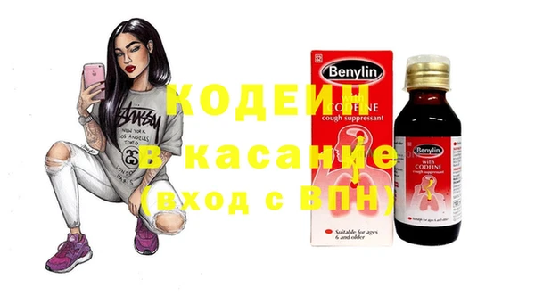 прущие грибы Магадан