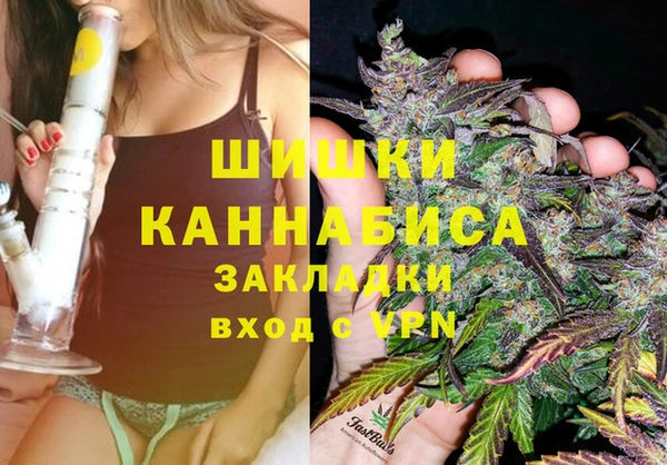 прущие грибы Магадан