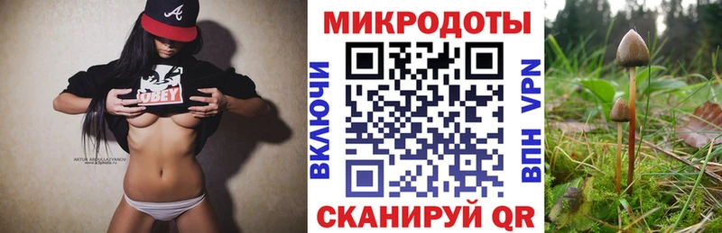 Галлюциногенные грибы Psilocybine cubensis  Псков 