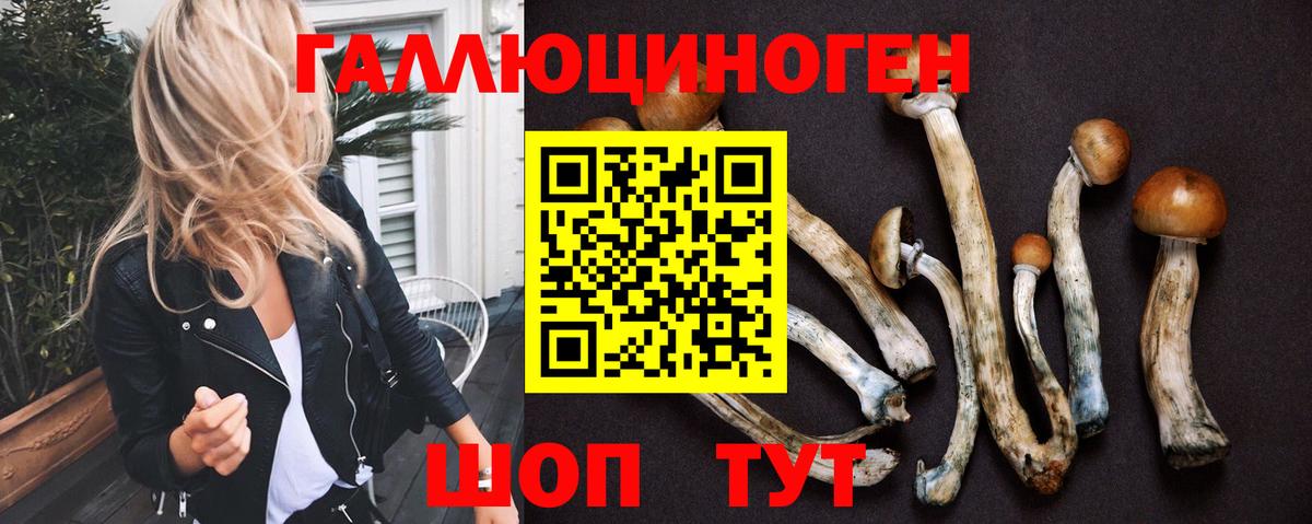 Псков  даркнет сайт  Вход с VPN  Псилоцибиновые грибы мухоморы 